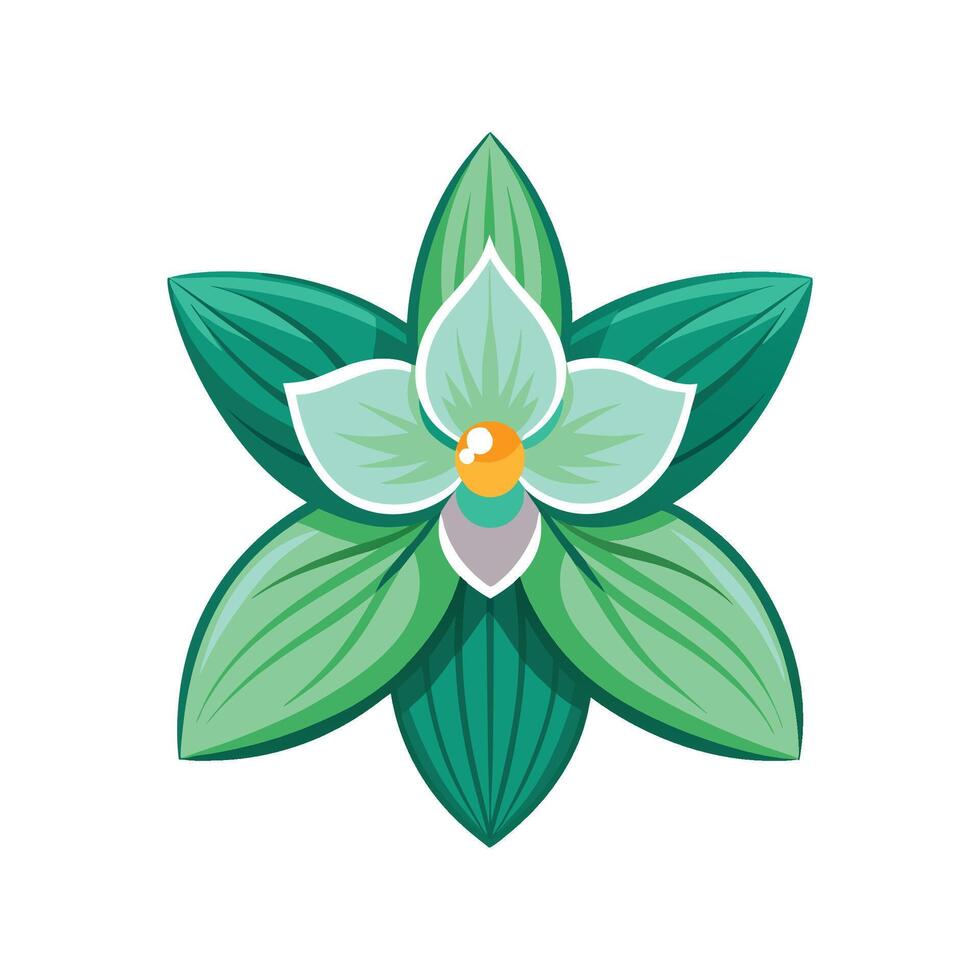 Charming Jade Orchid with Colorful Blooms vector