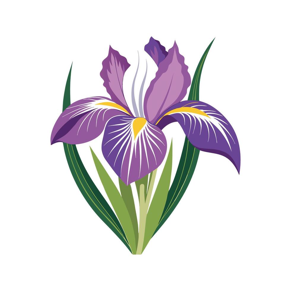 Elegant Japanese Iris Plant with Unique Blooms vector