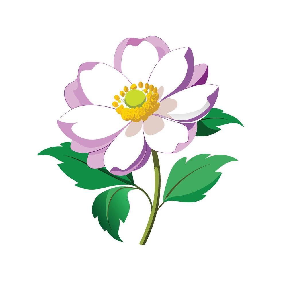 Elegant Japanese Anemone Plant with Unique Blooms vector