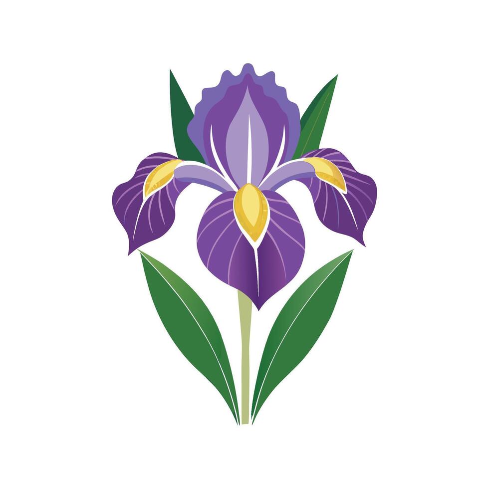 Stunning Japanese Iris Flower Design with Bright Colors vector