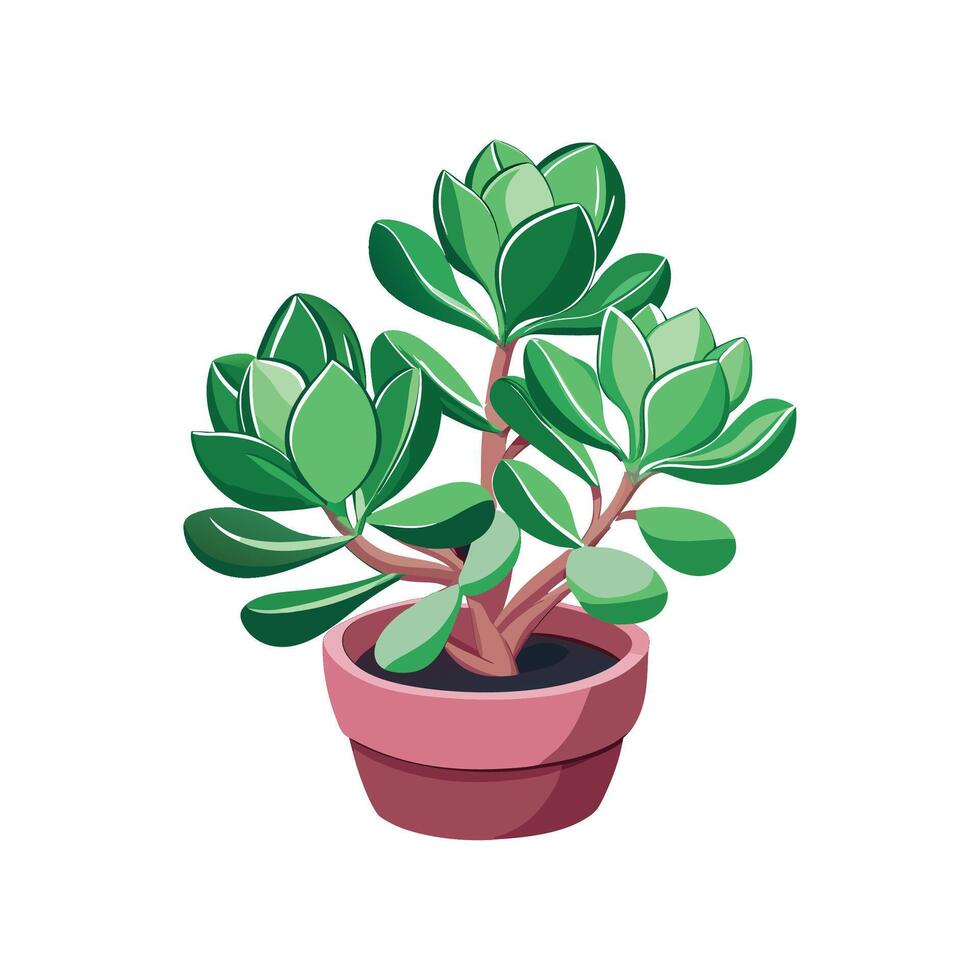 Stunning Kalanchoe Plant with Unique Blooms vector