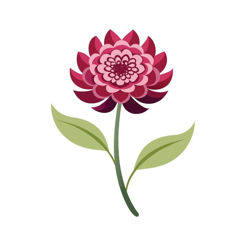 Vibrant Knautia Flower Design with Colorful Blooms vector