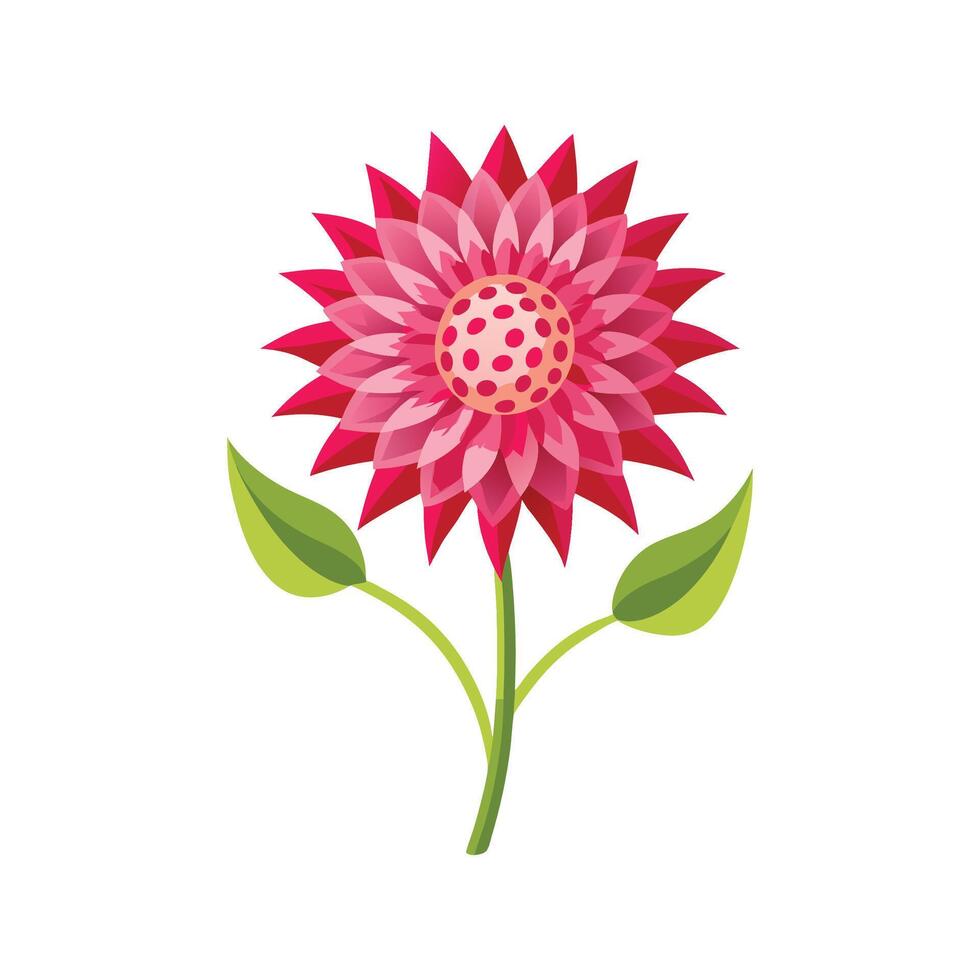 Charming Knautia Macedonica Plant with Colorful Blooms vector