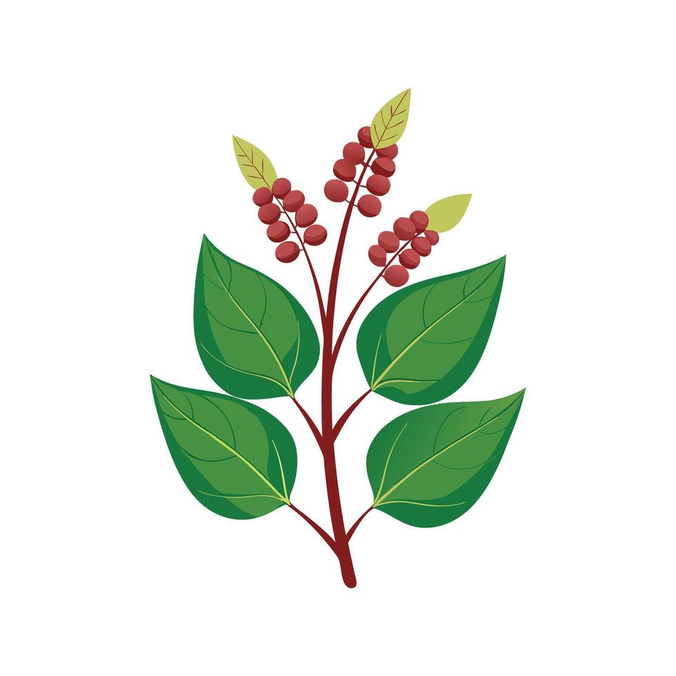 Beautiful Knotweed Plant Design with Unique Blooms vector