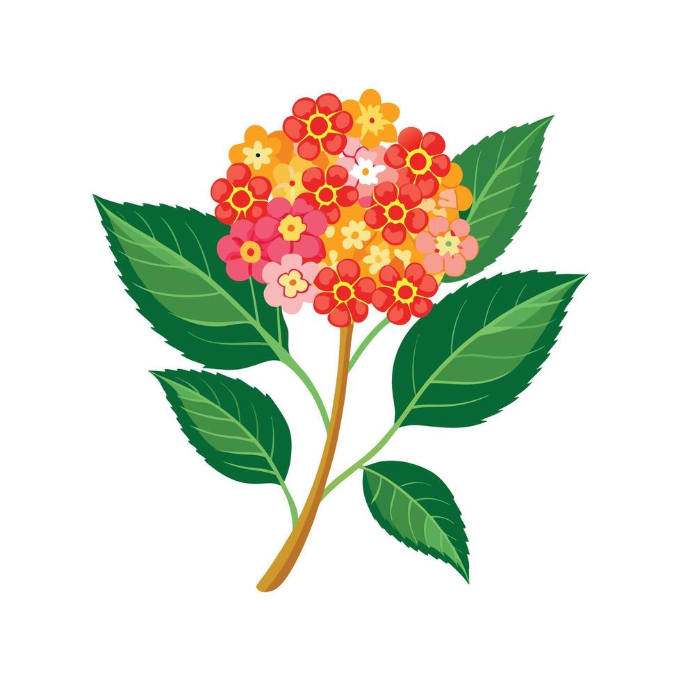 Charming Lantana Plant Design vector