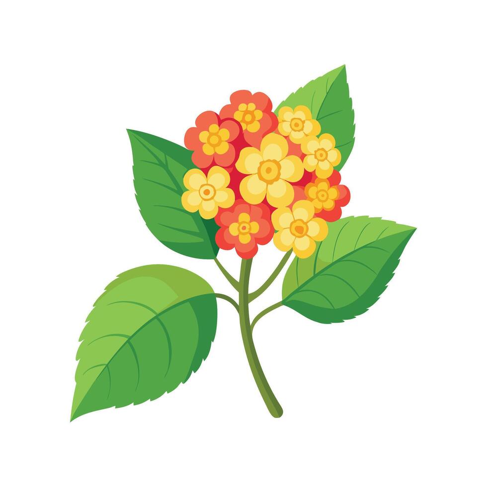 Charming Lantana Camara Plant Design vector