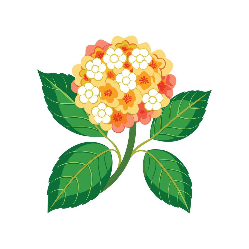 Charming Lantana Plant with Bright Colors vector