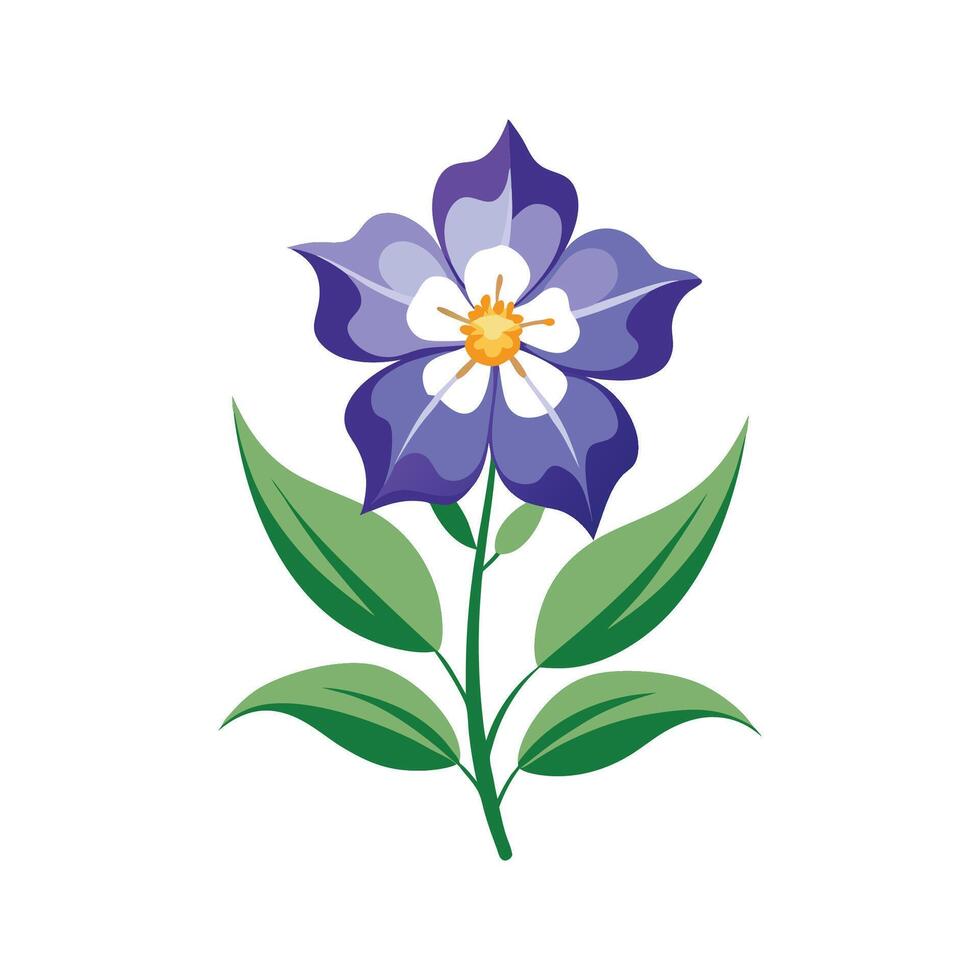 Stunning Larkspur Plant Design with Unique Blooms vector
