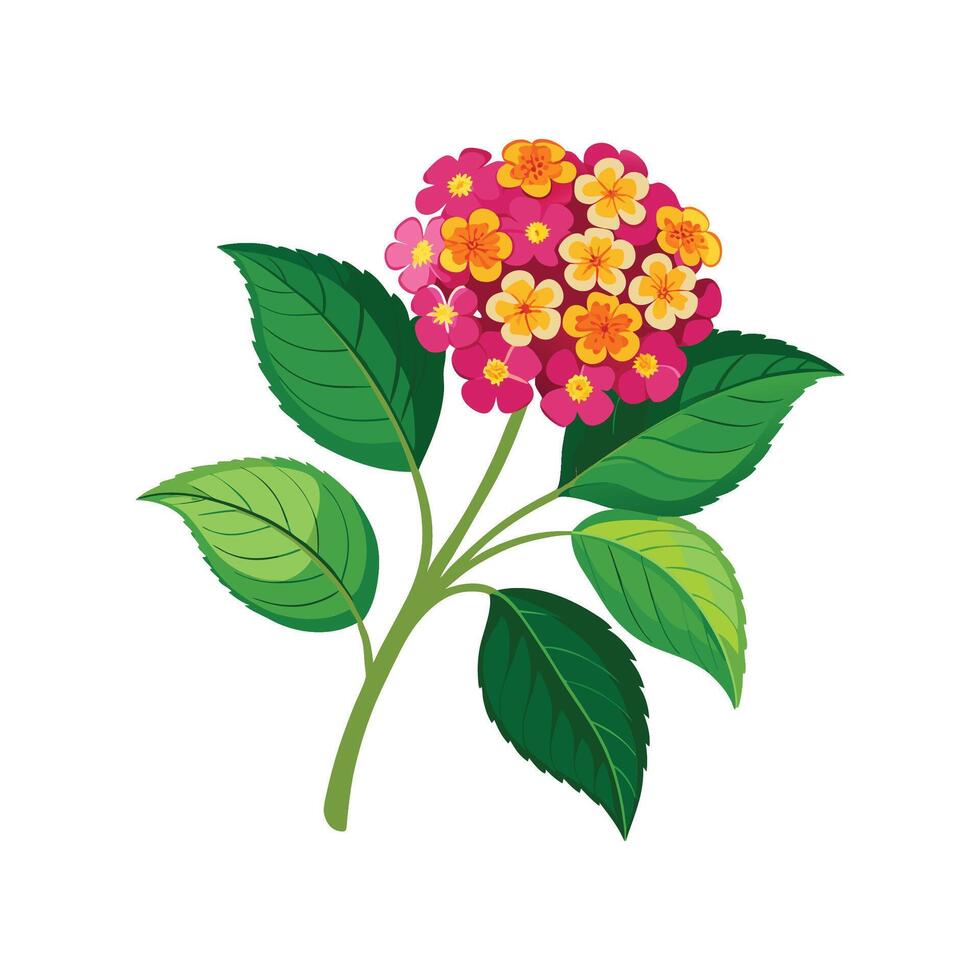 Stunning Lantana Camara Plant with Unique Blooms vector