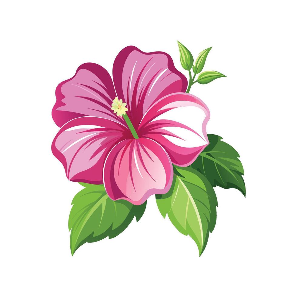 Charming Lavatera Plant with Colorful Blooms vector
