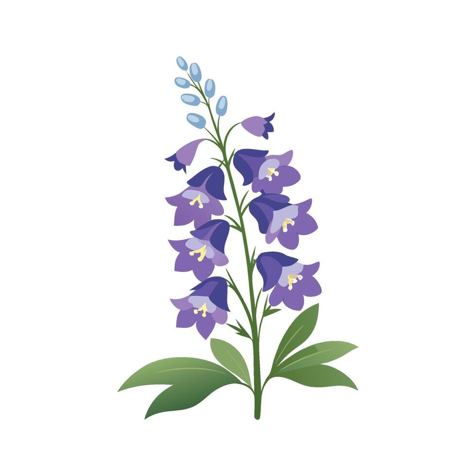 Elegant Larkspur Flower Design with Striking Blooms vector