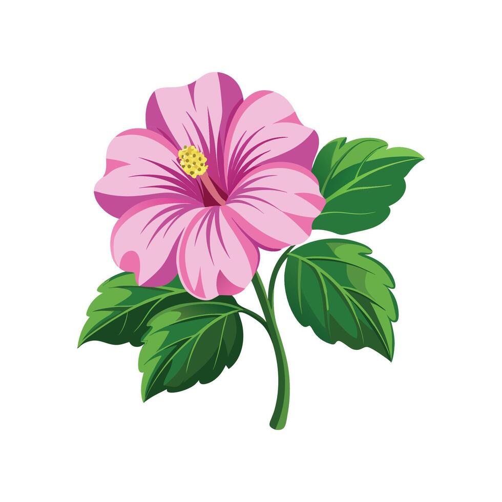 Stunning Lavatera Plant Design with Unique Features vector