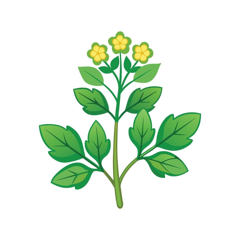 Stylish Leafy Spurge Plant Design vector
