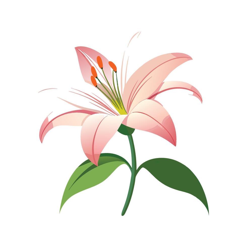 Lily Flower Design with Unique Features vector