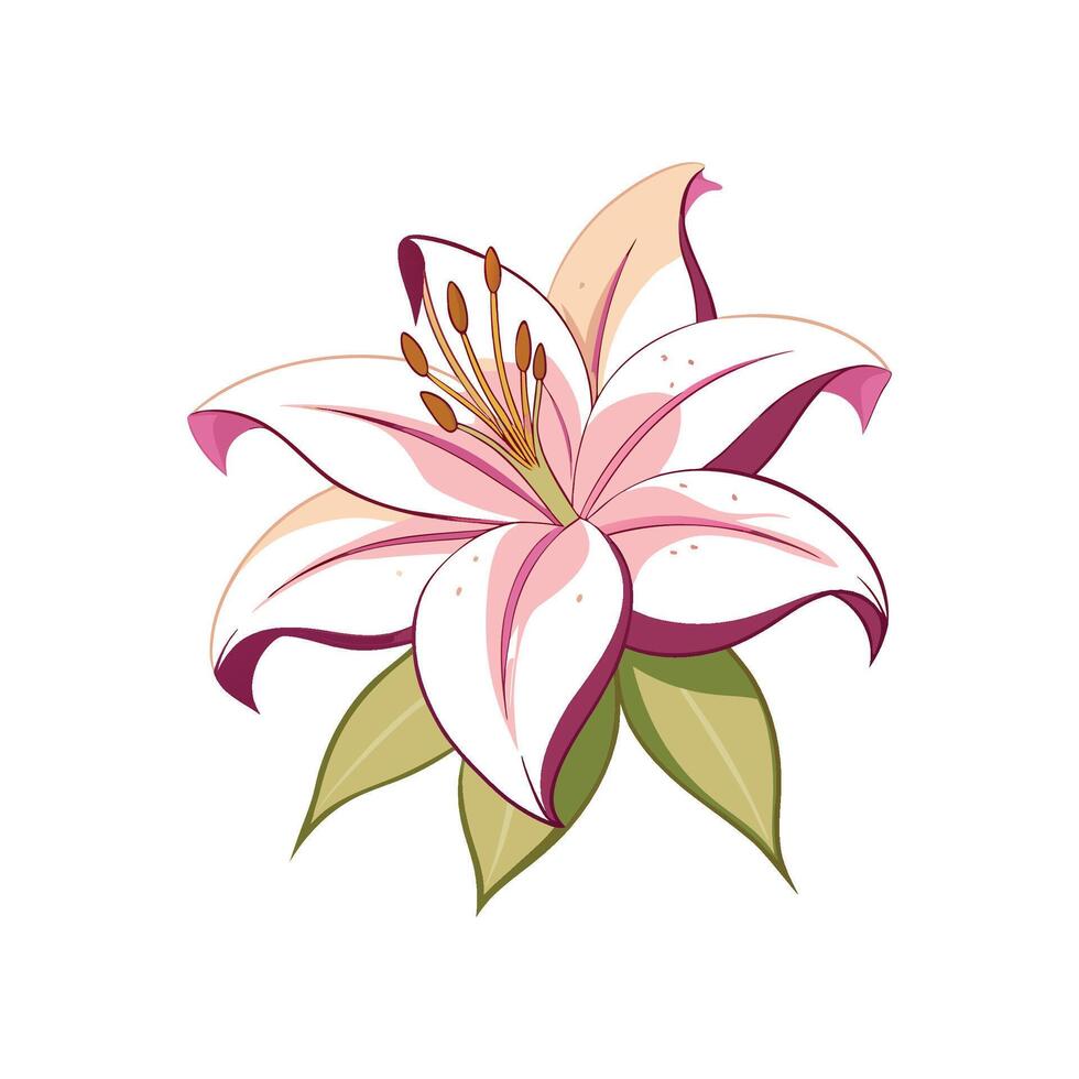 Vibrant Lily Flower Design with Bright Colors vector