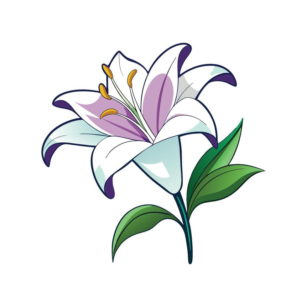 Stunning Lily Plant with Unique Blooms vector
