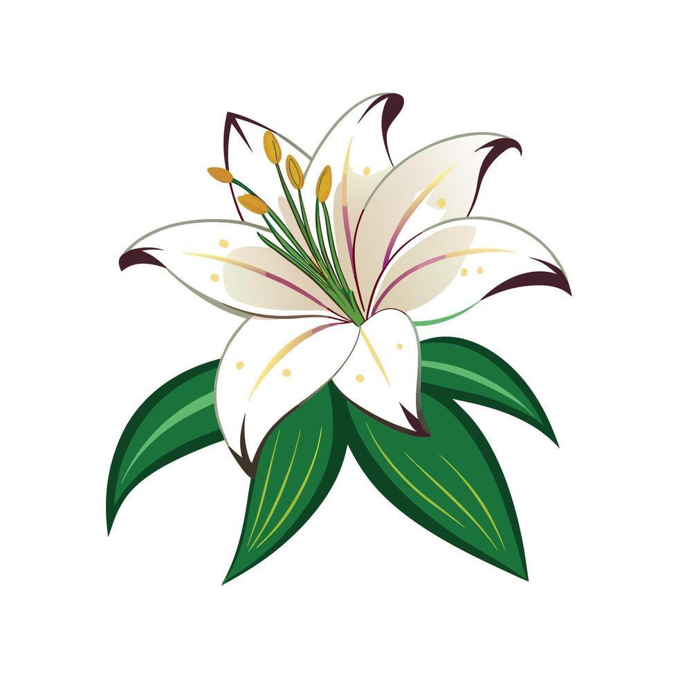 Elegant Lily Flower Design with Striking Appearance vector