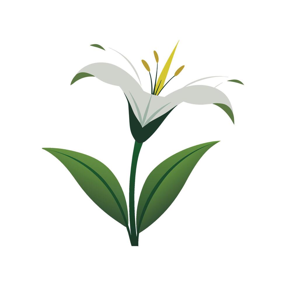 Charming Lily of the Nile with Colorful Blooms vector