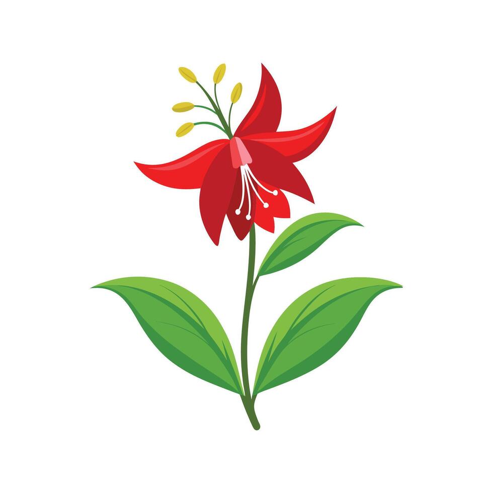 Charming Lobelia Cardinalis with Colorful Blooms vector