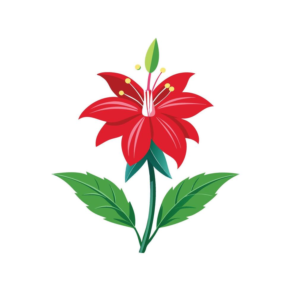 Elegant Lobelia Cardinalis Plant with Unique Blooms vector