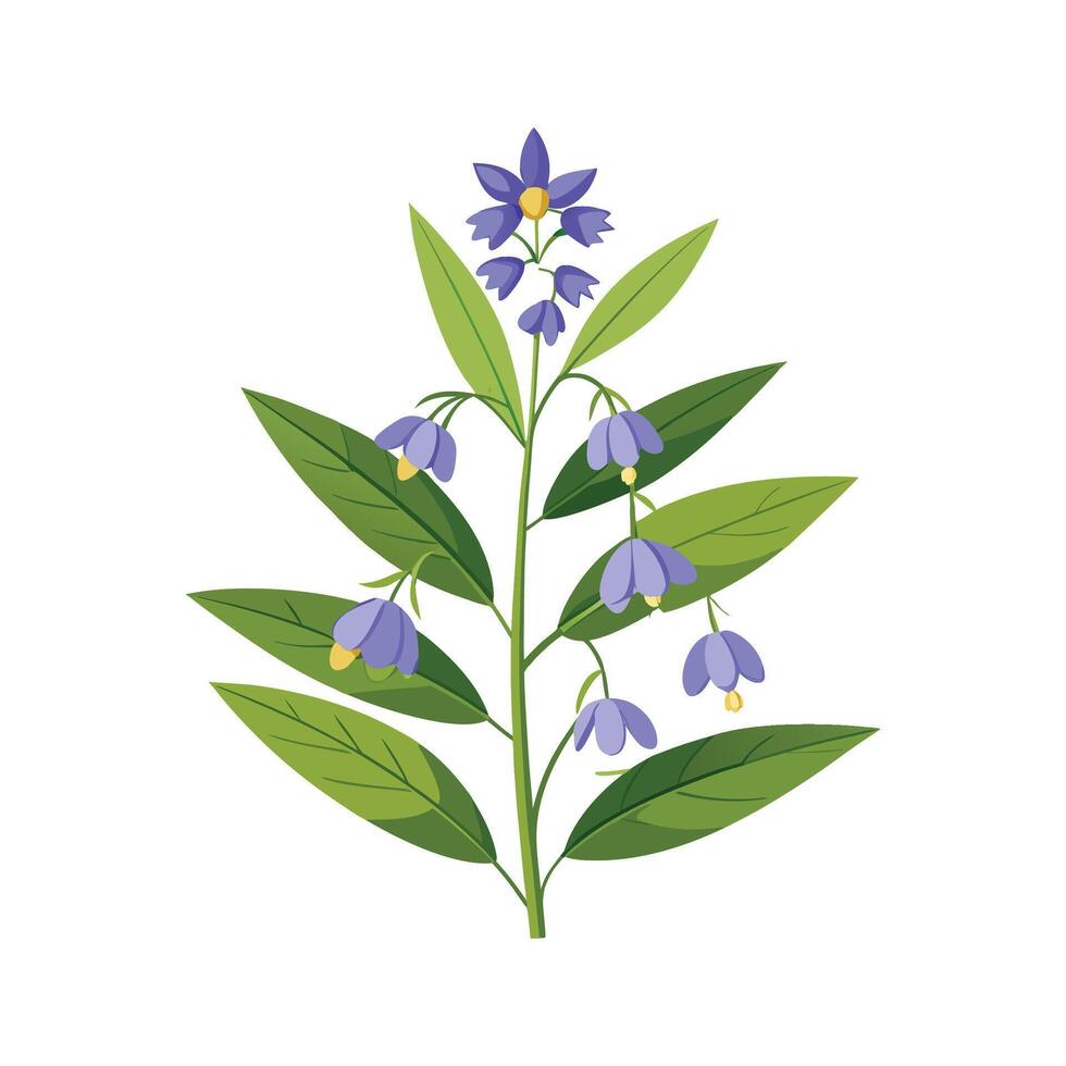 Elegant Lobelia Erinus Plant with Unique Blooms vector