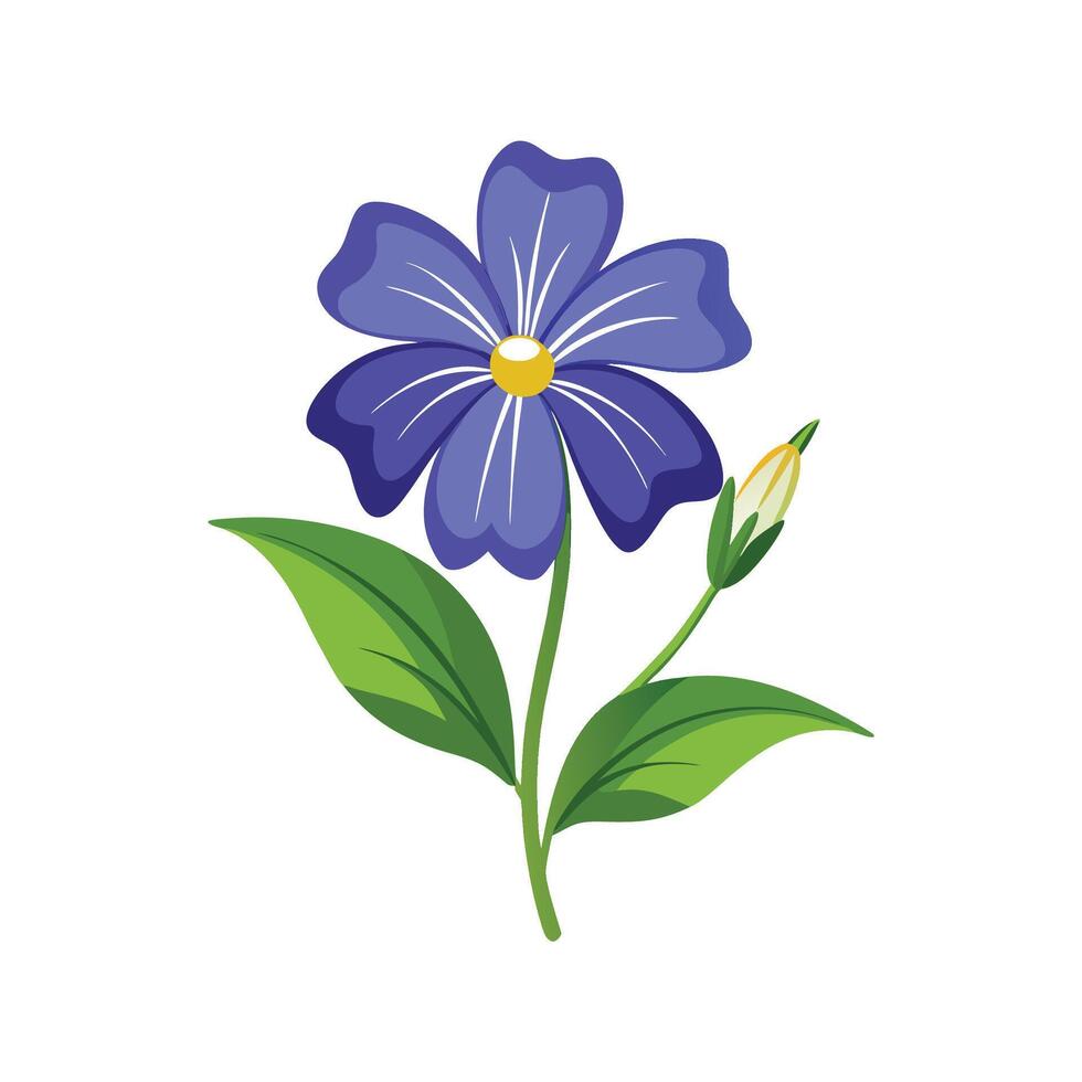 Elegant Magnolia Flower Design with Striking Appearance vector