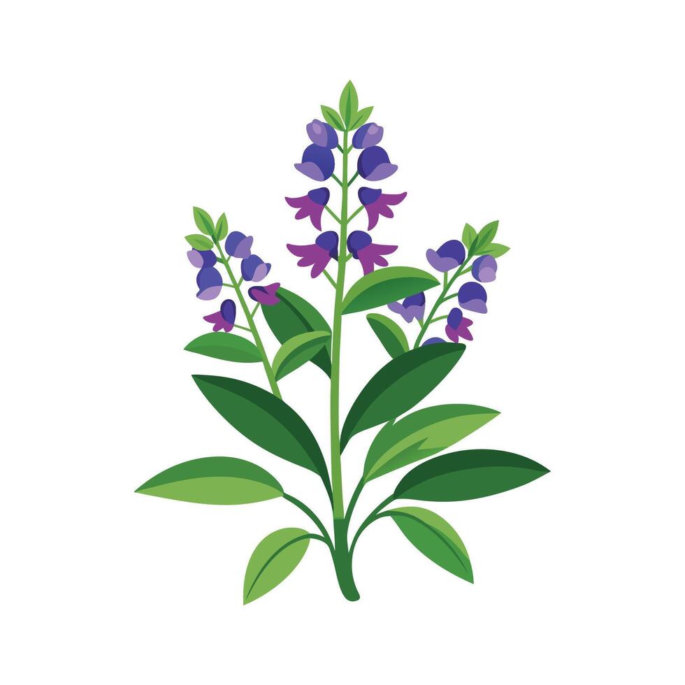 Stunning Magnolia Plant with Unique Blooms vector