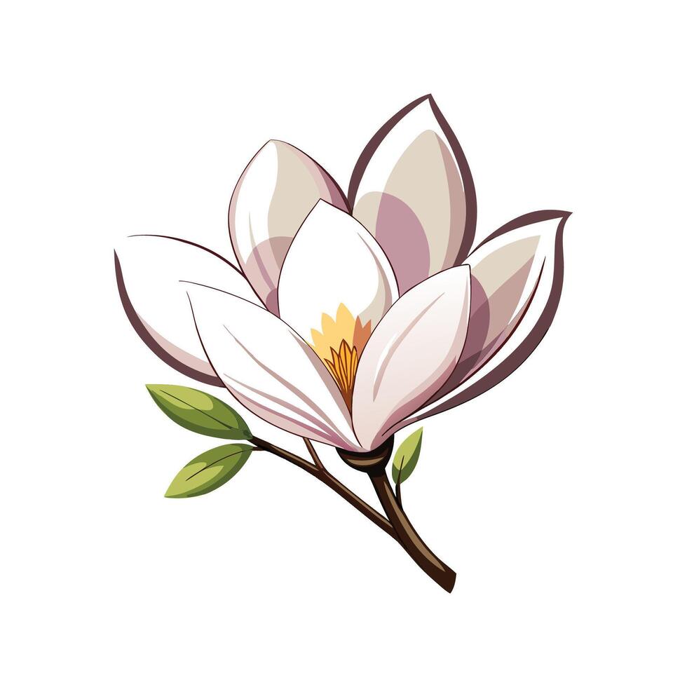 Stylish Magnolia Stellata Plant Design vector
