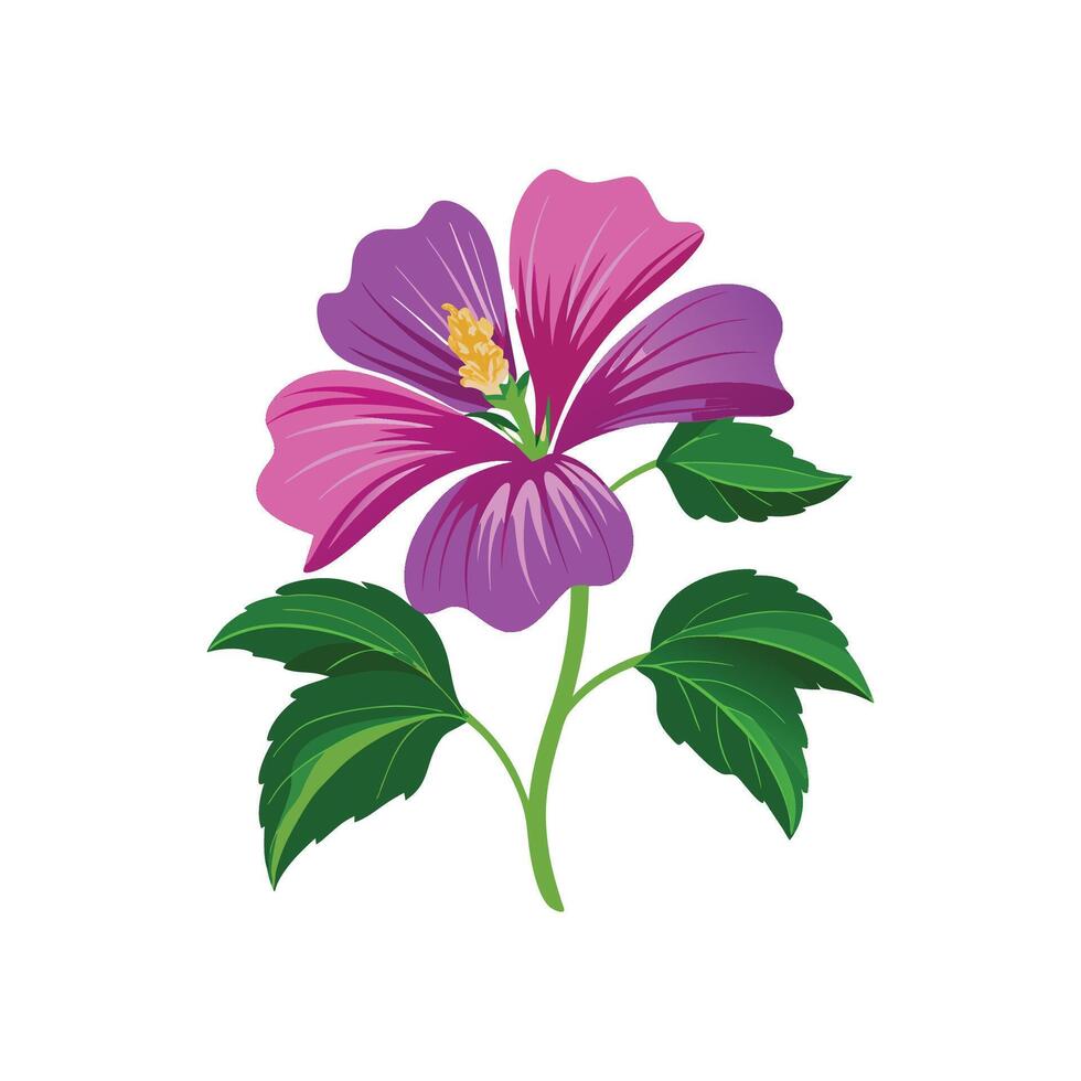 Beautiful Malva Plant Design with Colorful Blooms vector