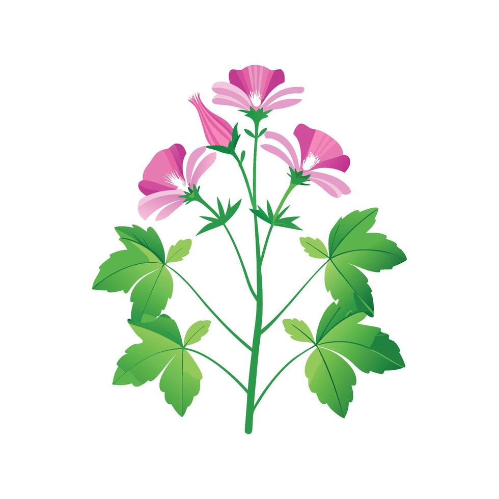 Stylish Malva Sylvestris Plant Artwork vector