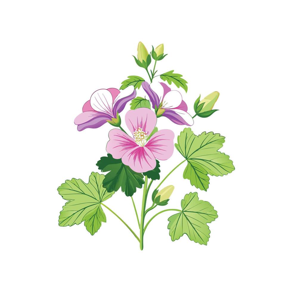 Stunning Malva Sylvestris Plant with Unique Blooms vector