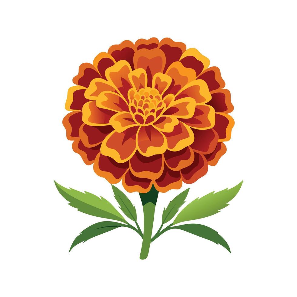 Vibrant Marigold Flower Design with Bright Colors vector