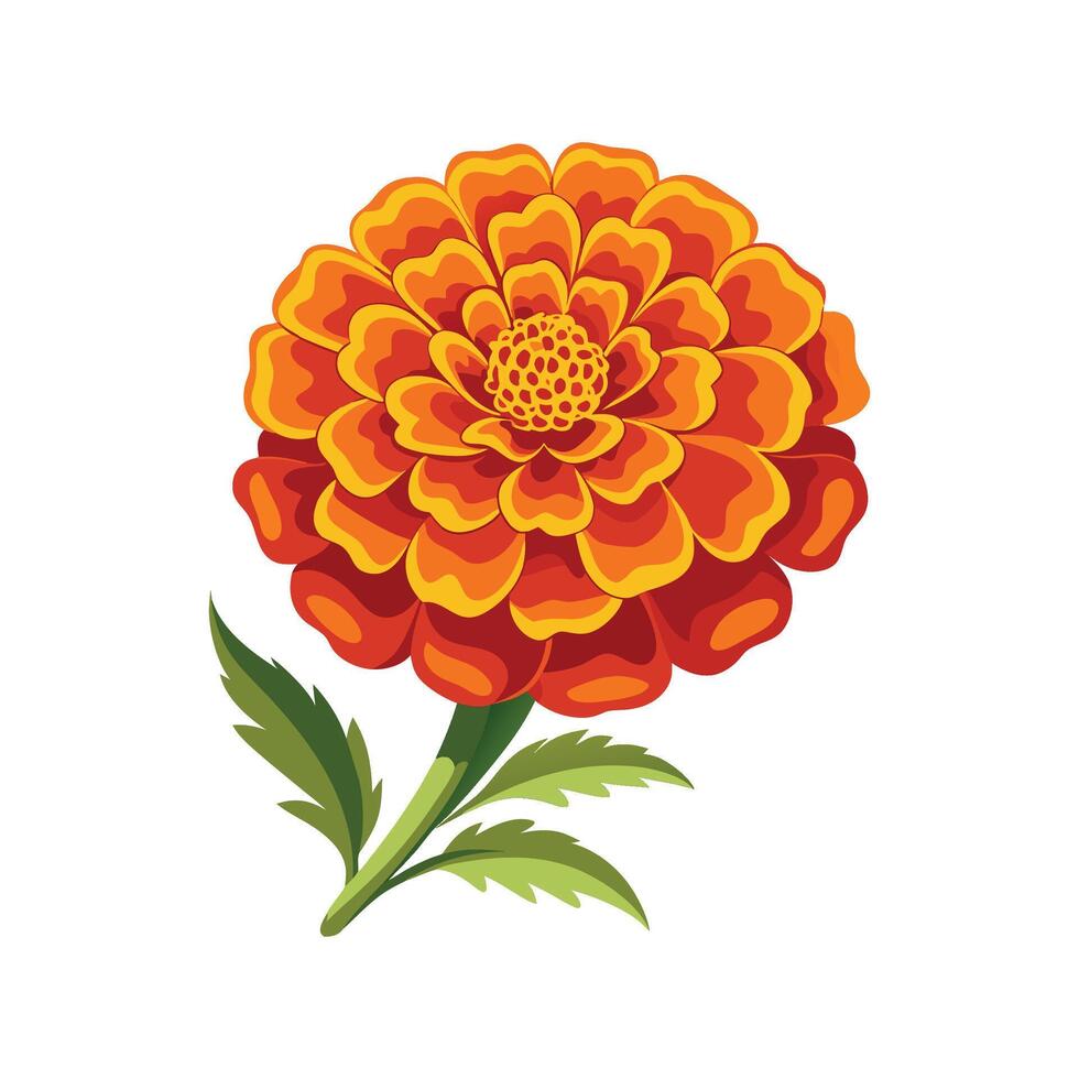 Elegant Marigold Flower Design with Striking Appearance vector