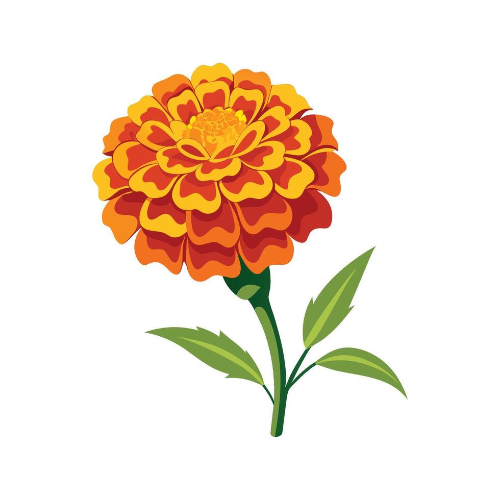 Charming Marigold Plant Design with Unique Features vector