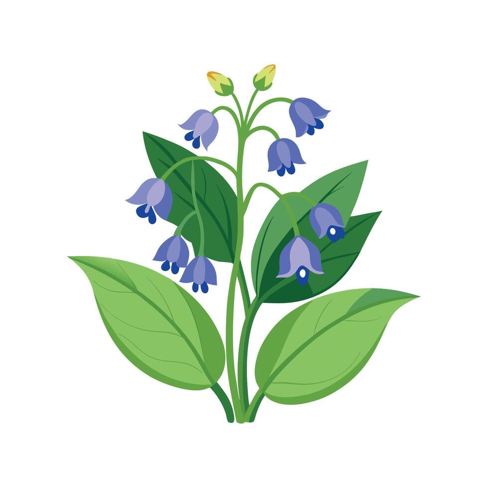 Stunning Mertensia Plant Design with Unique Blooms vector