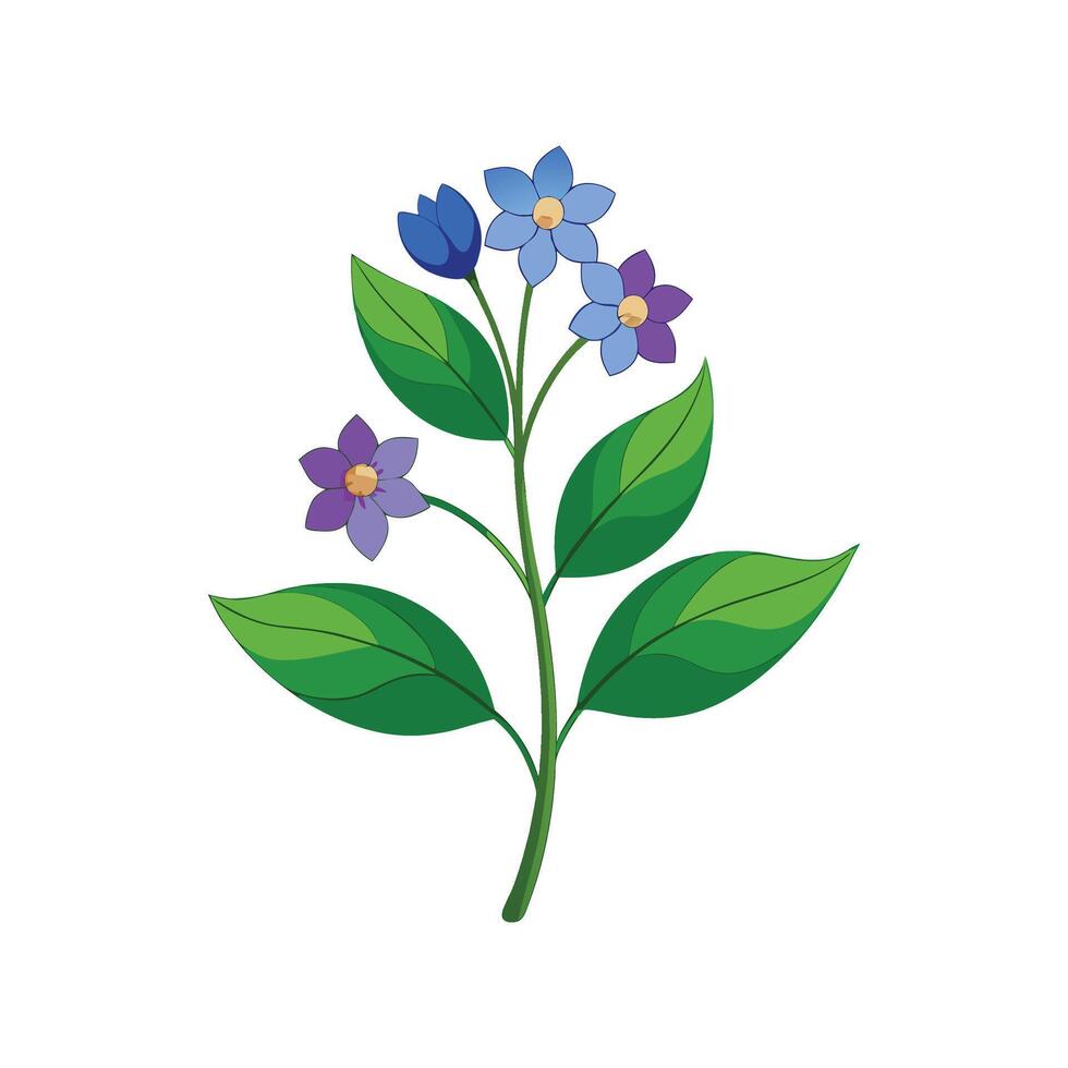 Mertensia Flower Design with Unique Features vector