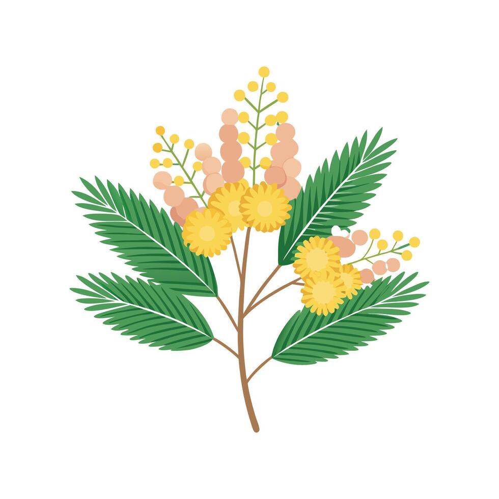 Vibrant Mimosa Flower Design with Bright Colors vector