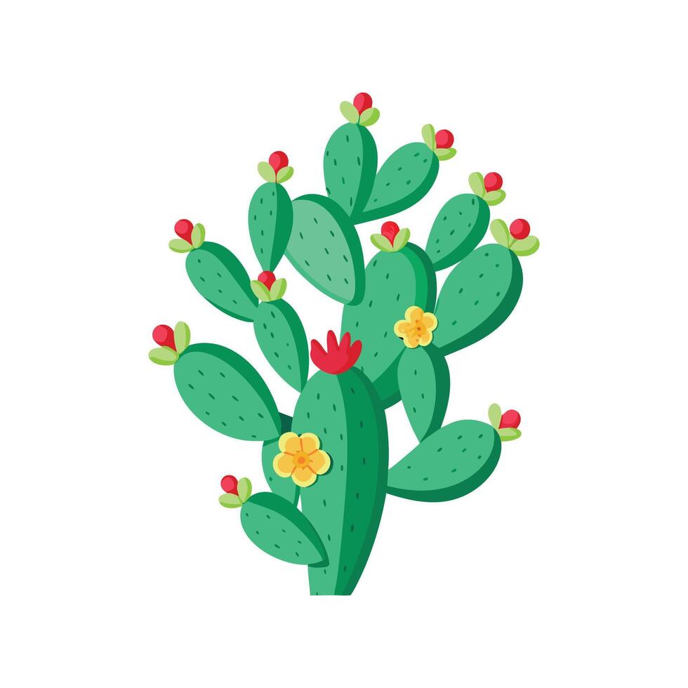 Charming Mistletoe Cactus Plant Design vector