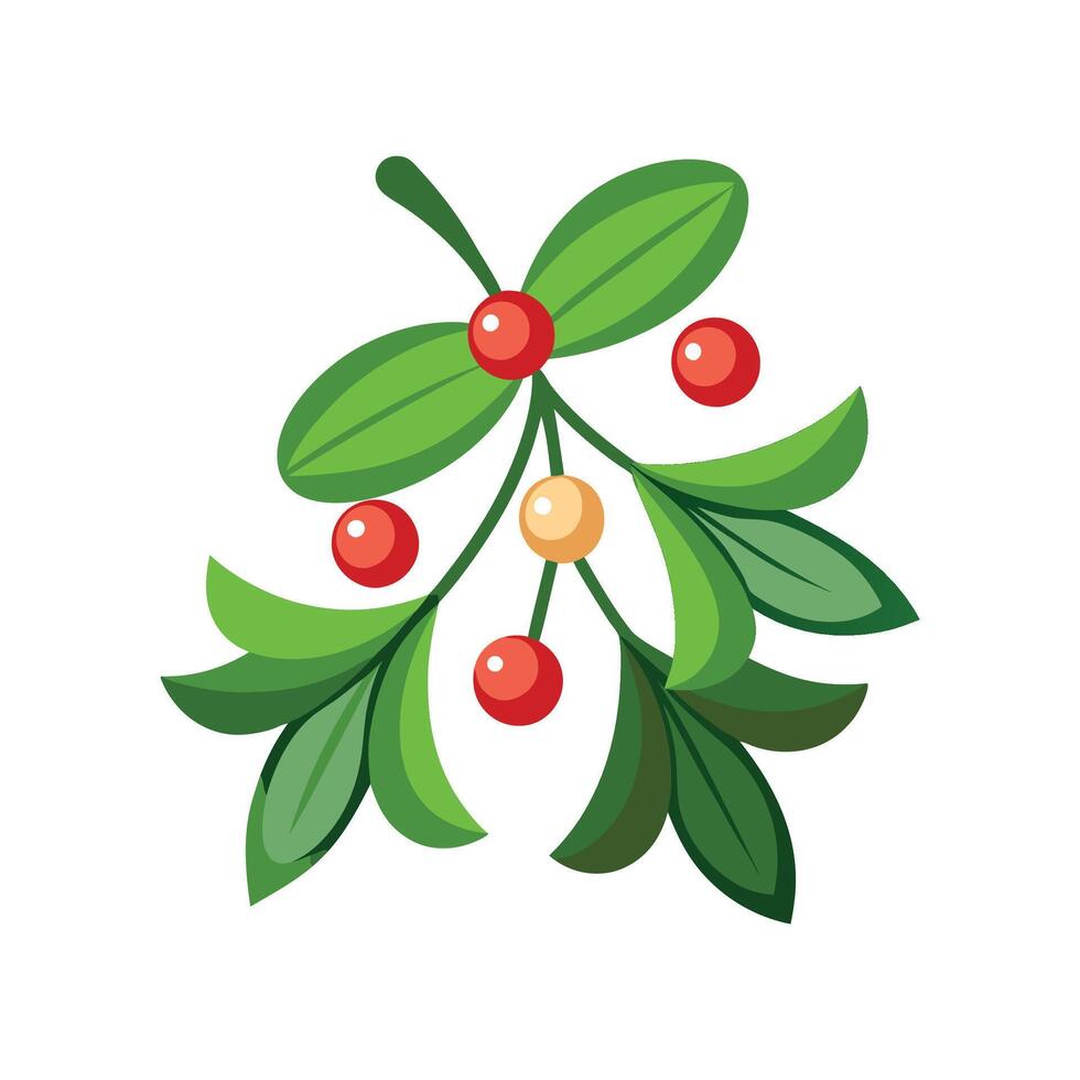 Charming Mistletoe with Colorful Blooms vector