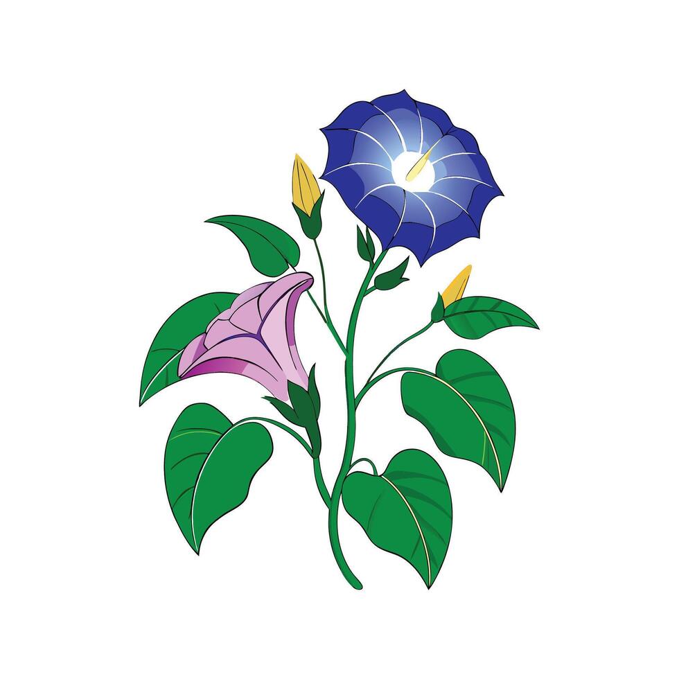 Enchanting Moonflower for Artistic Creations vector
