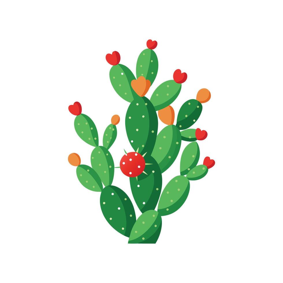Stylish Mistletoe Cactus for Artistic Projects vector