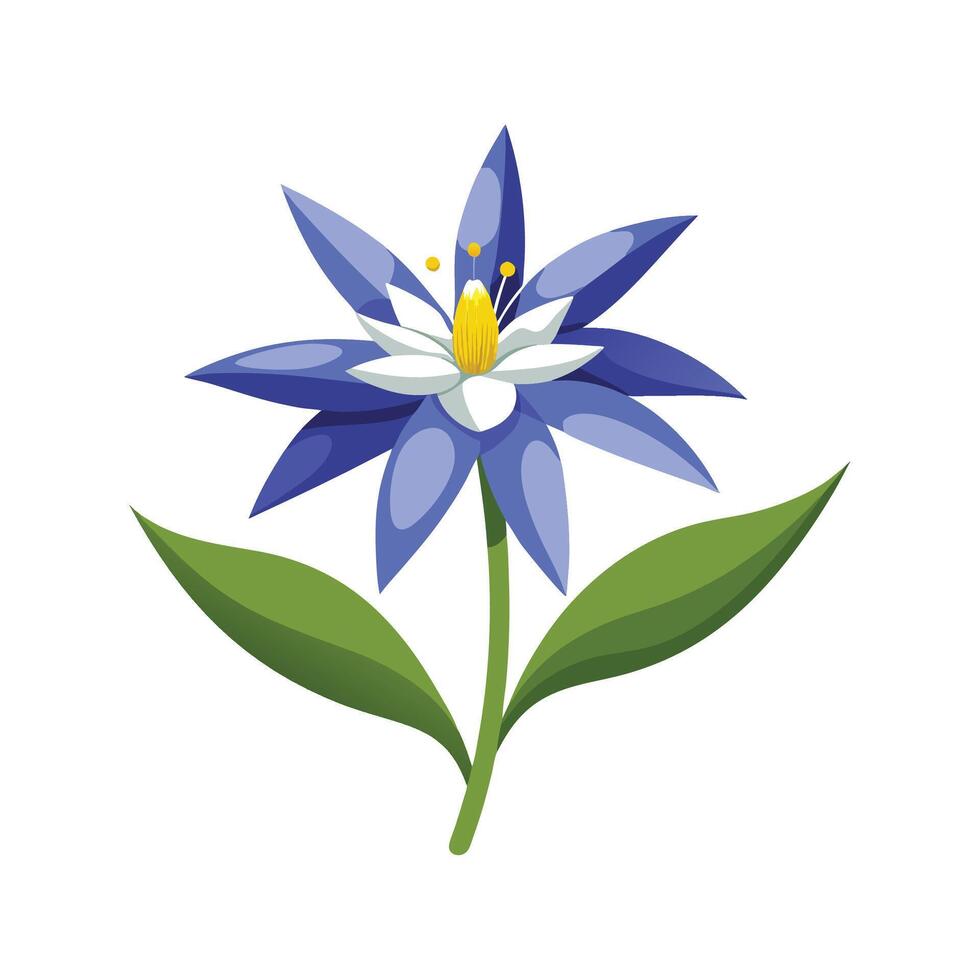 Charming Mountain Bluet Design for Floral Art vector