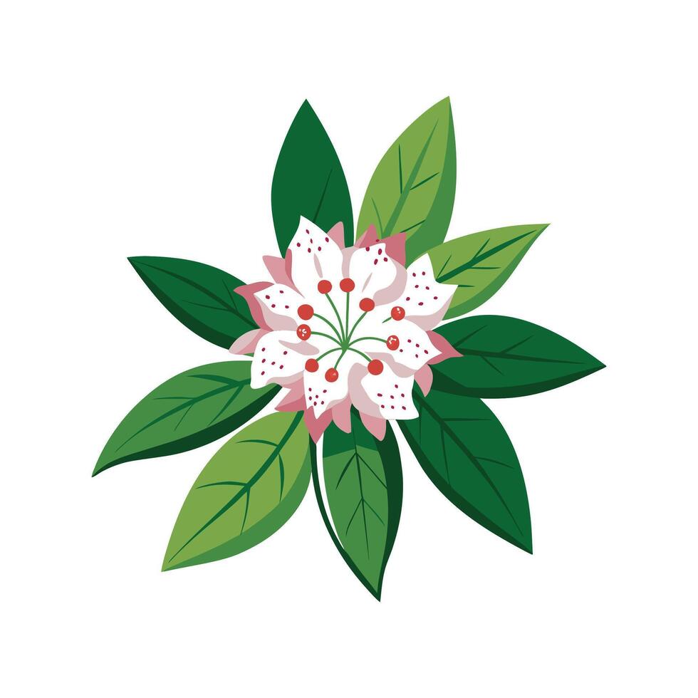 Captivating Mountain Laurel for Floral Art vector