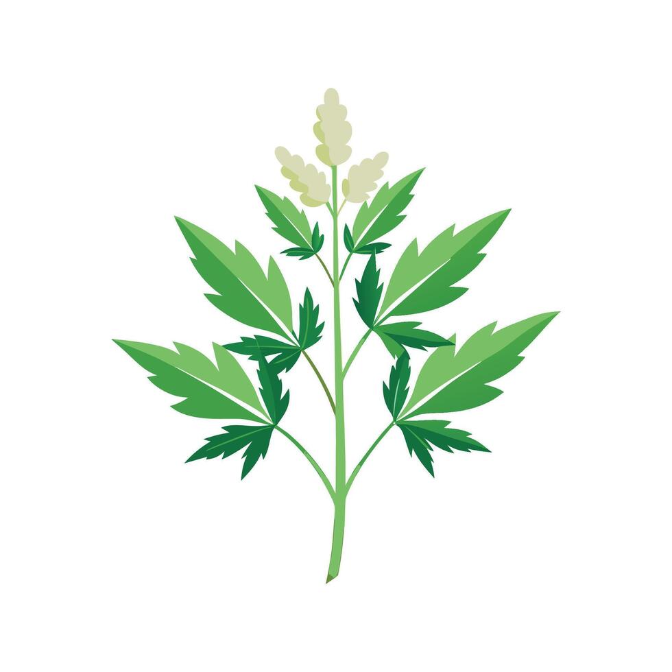 Delicate Mugwort Illustration for Nature Lovers vector