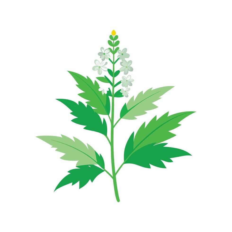 Vibrant Mugwort for Creative Graphic Designs vector