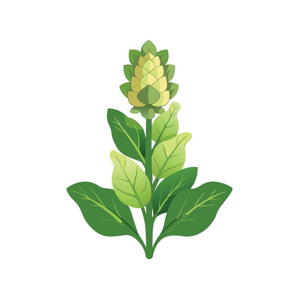 Charming Mullein for Unique Floral Designs vector