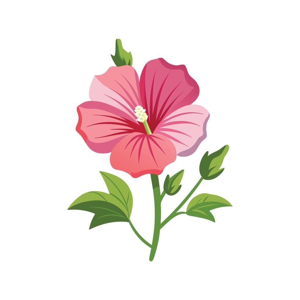 Vibrant Musk Mallow for Colorful Graphic Designs vector