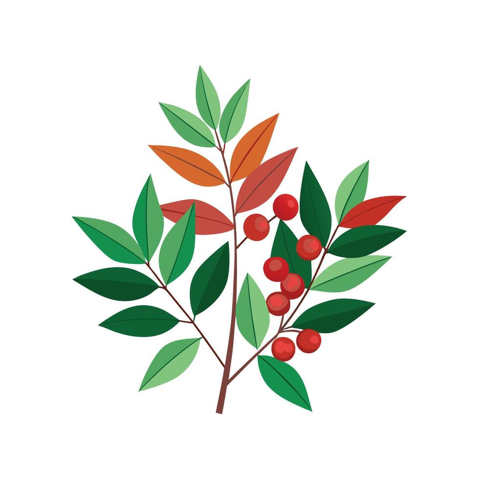 Beautiful Nandina Design for Artistic Creations vector
