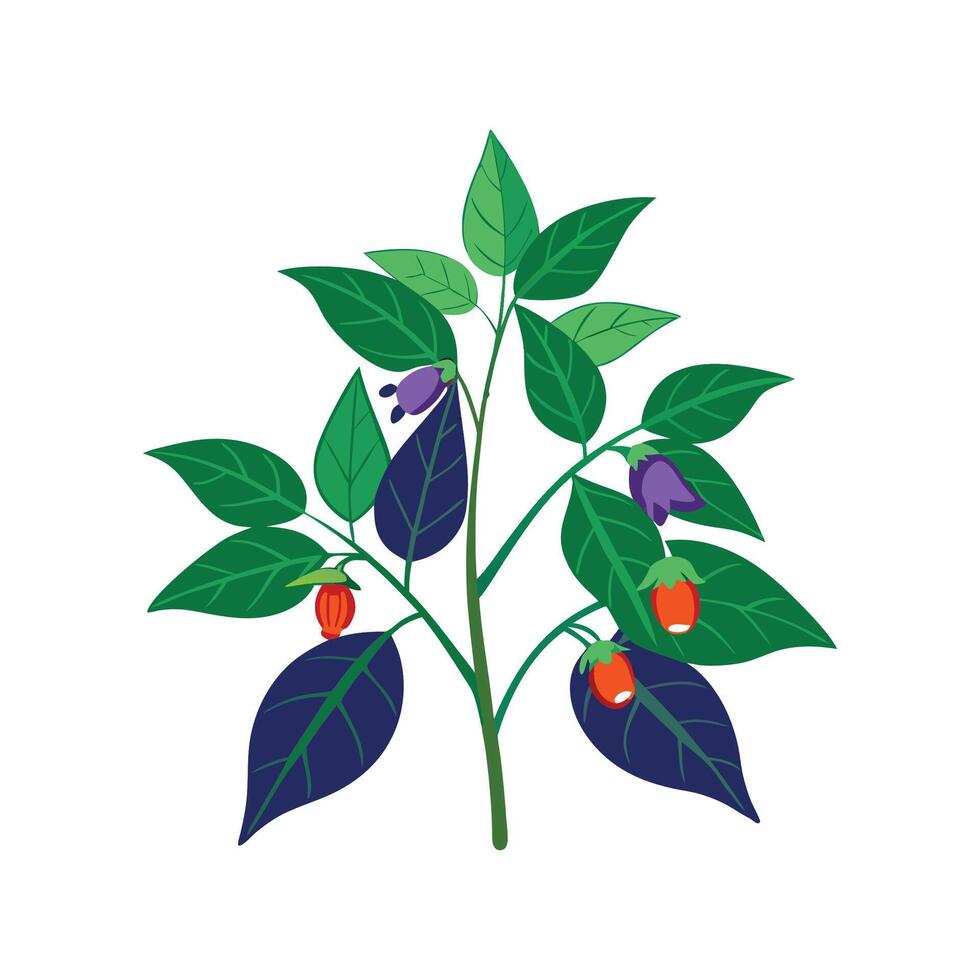 Charming Nightshade Plant Artwork vector