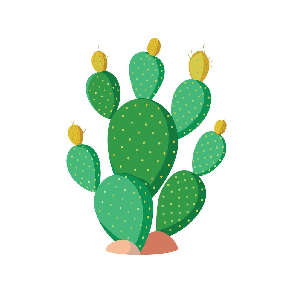 Elegant Opuntia for Artistic Floral Creations vector